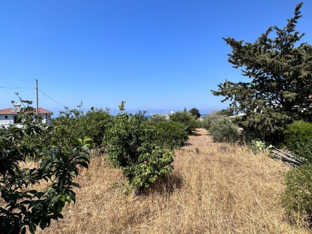 2 acres with Turkish husband for sale in Karsiyaka