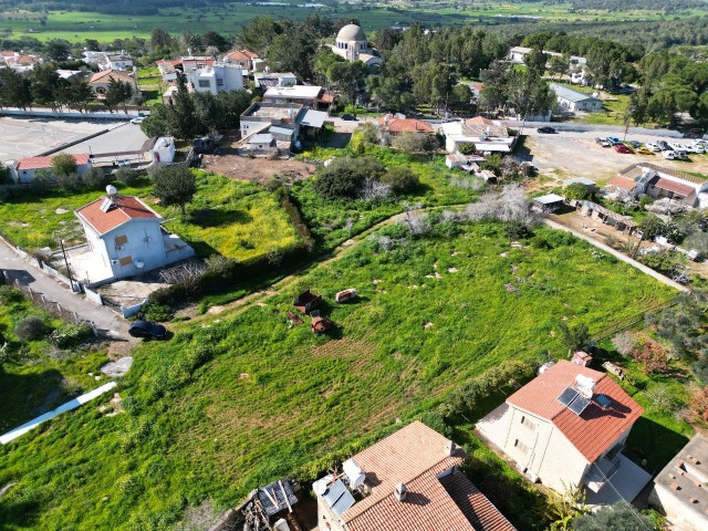 1.5 acres of Turkish land for sale in Tepebaşı