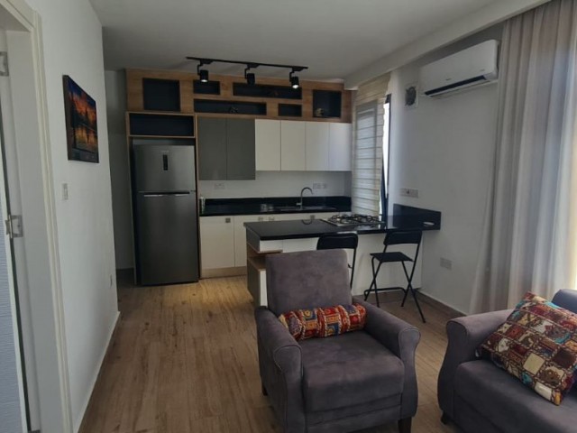 1+1 flat for rent in Ozankoy