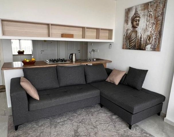 Fully furnished 3+1 flat for sale in Alsancak