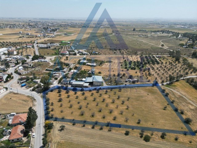 9 donum 1 evlek land for sale in Nicosia / Bey village