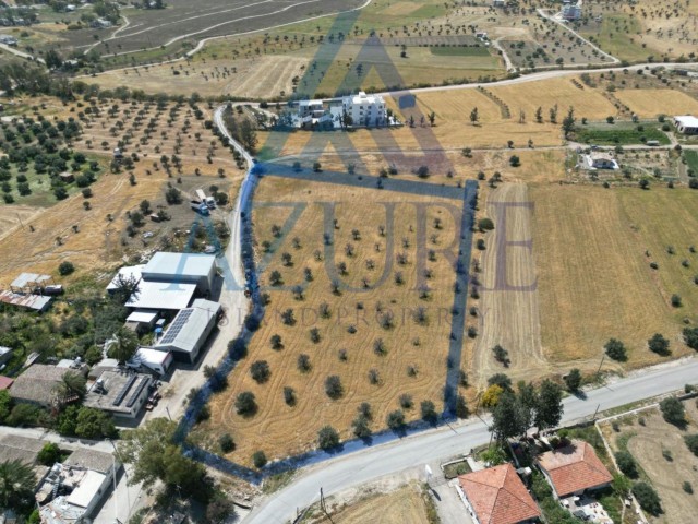 9 donum 1 evlek land for sale in Nicosia / Bey village