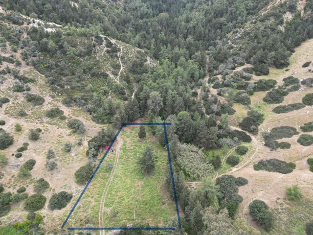 5 acres of investment land for sale in Esentepe. Closed for Development.