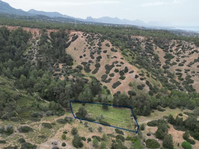 5 acres of investment land for sale in Esentepe. Closed for Development.