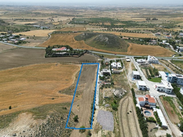 4 acres of Turkish cob field for sale in Pınarbaşı