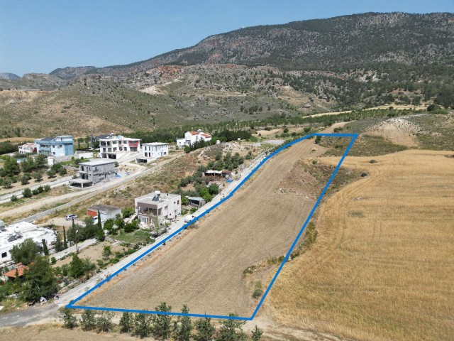 4 acres of Turkish cob field for sale in Pınarbaşı