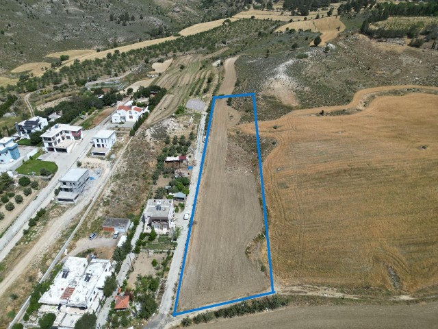 7.5 acres of Turkish cob field for sale in Pınarbaşı