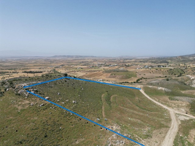 7 Hektar türkisches Maiskolbenfeld zum Verkauf in Pınarbaşı