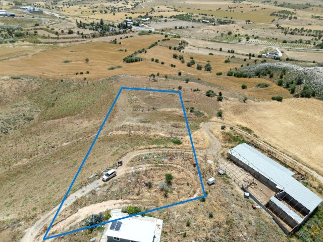 7 acres of Turkish cob field for sale in Pınarbaşı