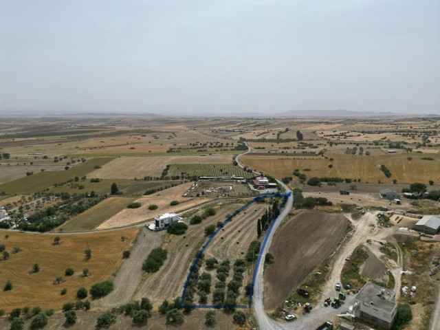 Pinarbaşında   satılık 4 donum Türk koçanlı arazı