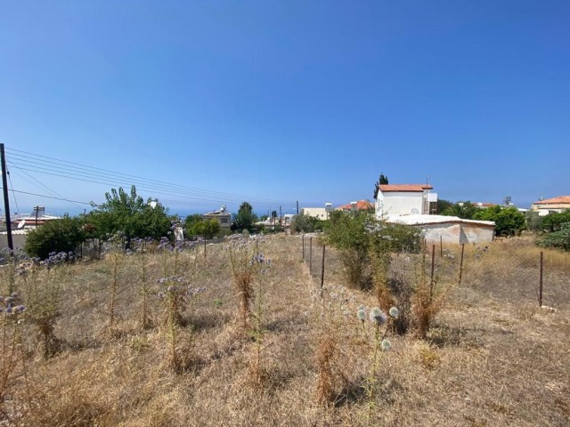 488 M2 LAND WITH COMMERCIAL PERMIT AND RESIDENCE FOR SALE IN ESENTEPE