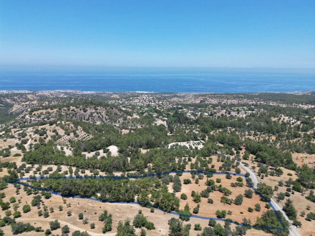 15 DONUM 3 EVLEK LAND FOR SALE IN KARAAĞAÇ