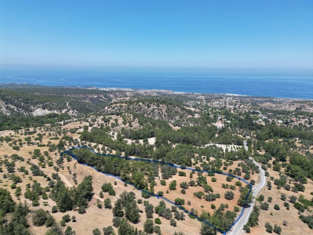 15 DONUM 3 EVLEK LAND FOR SALE IN KARAAĞAÇ