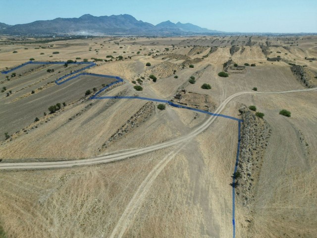 Feld Zu verkaufen in Pınarbaşı, Kyrenia