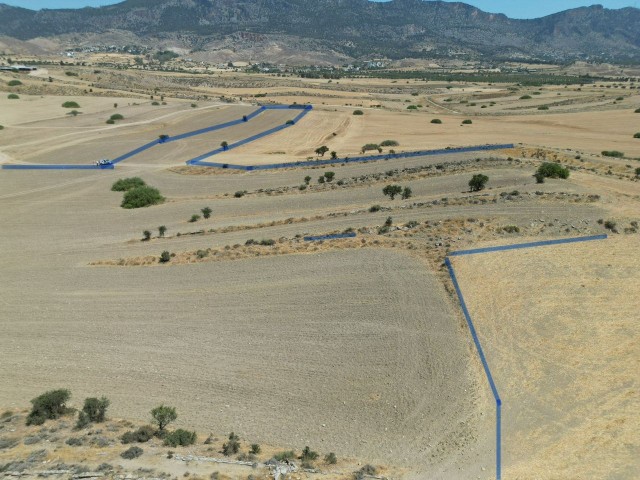 Feld Zu verkaufen in Pınarbaşı, Kyrenia