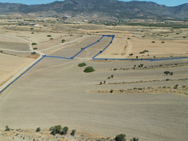 Feld Zu verkaufen in Pınarbaşı, Kyrenia