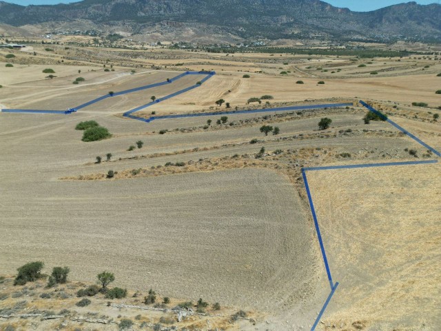 رشته برای فروش in Pınarbaşı, گیرنه