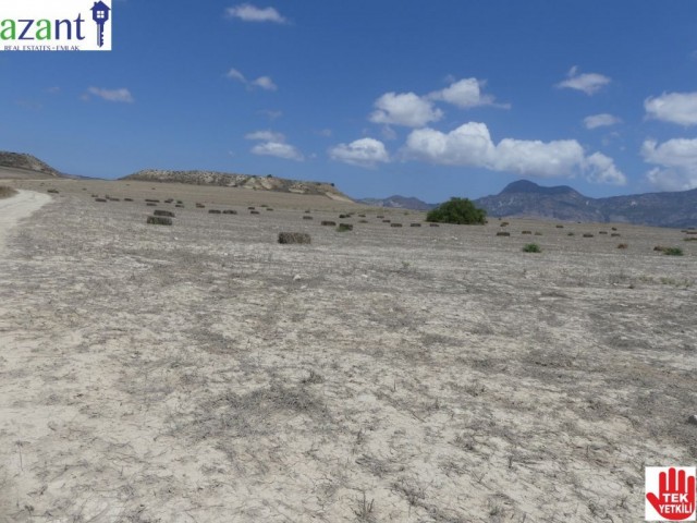 40 DONUM LAND FOR SALE IN KILIÇARSLAN