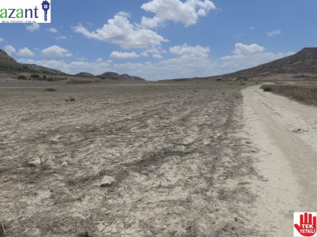 40 DONUM LAND FOR SALE IN KILIÇARSLAN