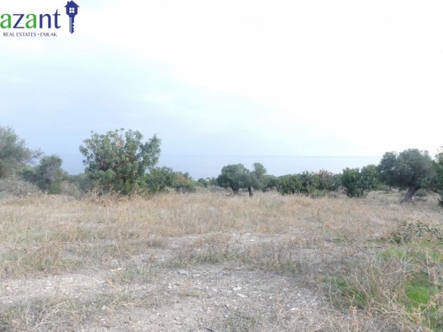 Grundstück zum Verkauf mit herrlichem Blick auf die Felsen ** 