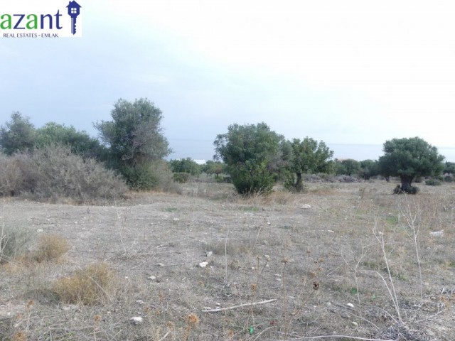 Land With Stunning Views For Sale In Kayalar