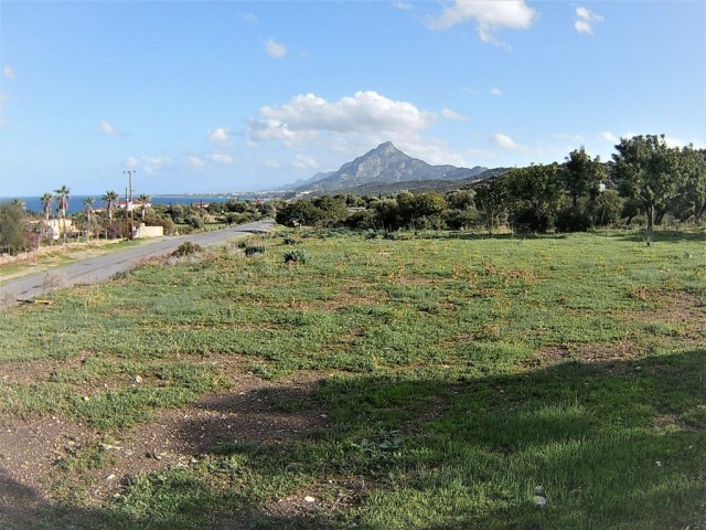 10 DONUMS OF LAND IN KAYALAR CLOSE TO SEA AND MOUNTAINS (35k Per Donum)