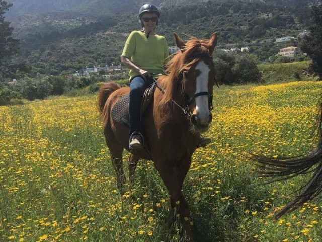 Geschäft Kaufen in Girne Merkez, Kyrenia