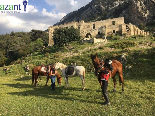 Geschäft Kaufen in Girne Merkez, Kyrenia