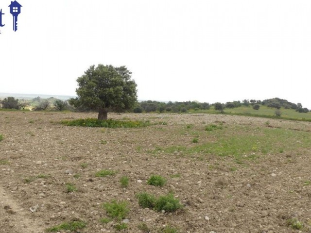 10 DONUM OF TURKISH TITLE LAND IN ERGAZI ISKELE