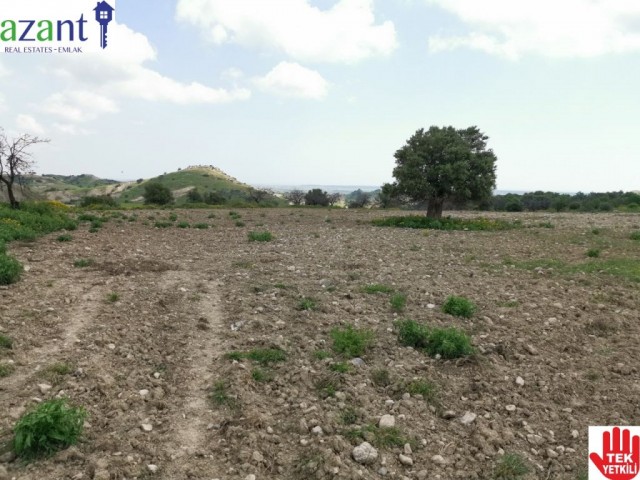 10 DONUM OF TURKISH TITLE LAND IN ERGAZI ISKELE