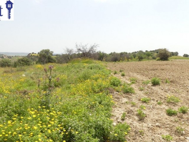 10 DONUM OF TURKISH TITLE LAND IN ERGAZI ISKELE