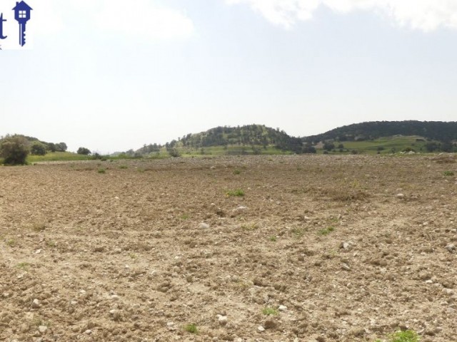 10 DONUM OF TURKISH TITLE LAND IN ERGAZI ISKELE