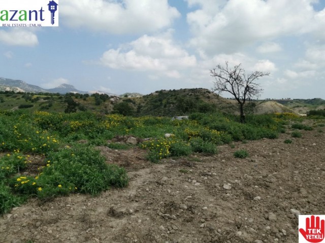 10 DONUM OF TURKISH TITLE LAND IN ERGAZI ISKELE