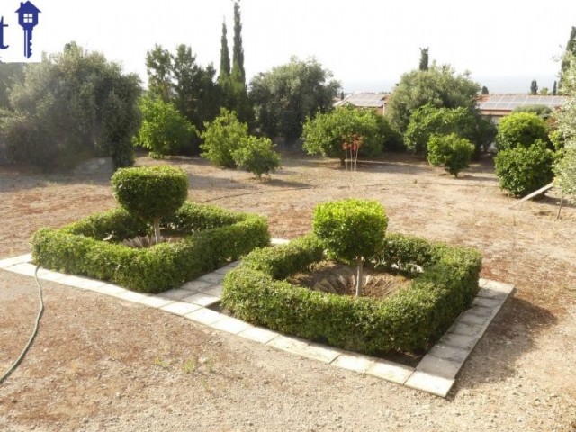 Villa Kaufen in Ozanköy, Kyrenia