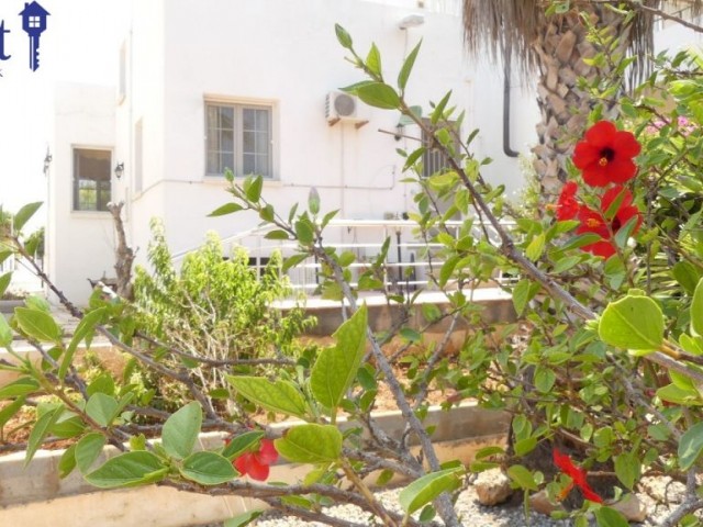 Halb freistehend Kaufen in Sadrazamköy, Kyrenia