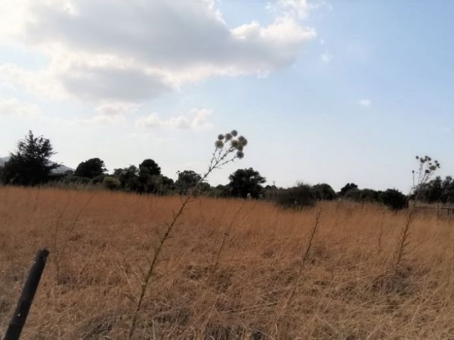 Feld Kaufen in Karşıyaka, Kyrenia