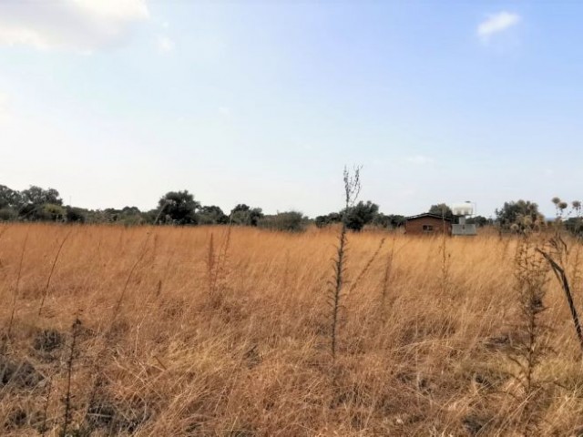 Feld Kaufen in Karşıyaka, Kyrenia