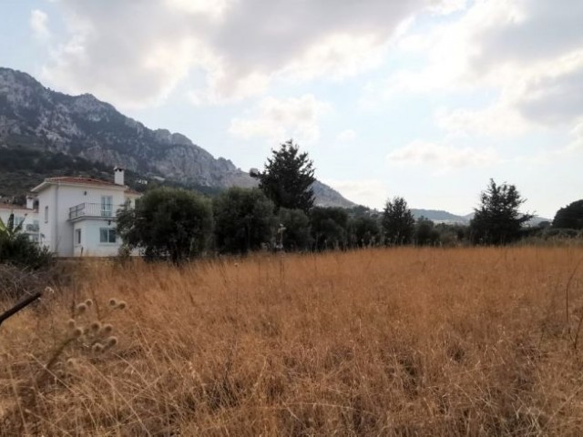 1 Donum Land For Sale in Karsiyaka