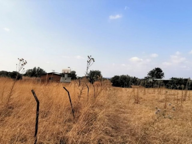 1 Donum Land For Sale in Karsiyaka