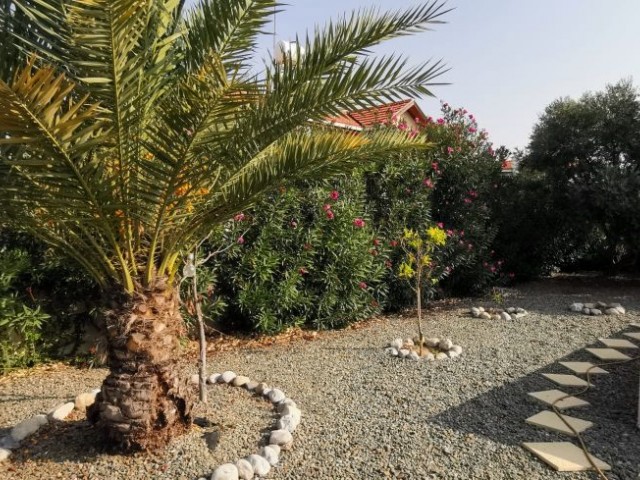 3 BEDROOM VILLA WITH POOL IN ALSANCAK