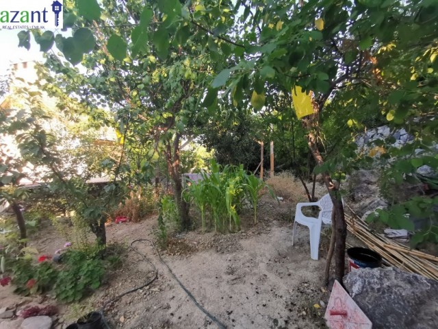 Einfamilienhaus Kaufen in Lapta, Kyrenia