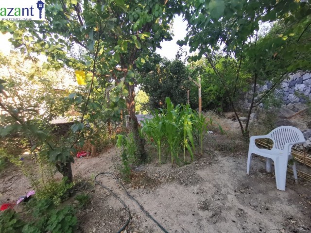 Einfamilienhaus Kaufen in Lapta, Kyrenia