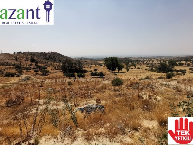 Large Plot of Land With Lefkosa Views in Taskent