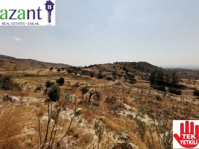 Large Plot of Land With Lefkosa Views in Taskent