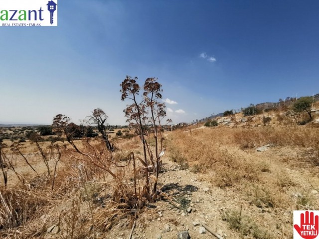 Feld Kaufen in Taşkent, Kyrenia