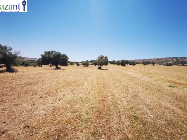 13 DONUM LAND IN AKDENIZ