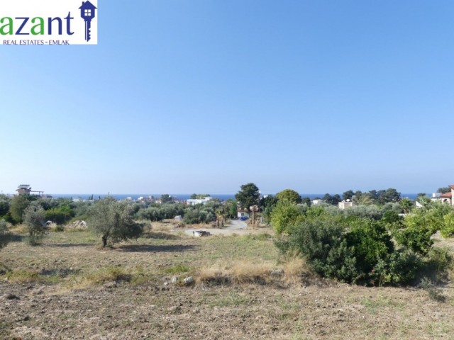 GRUNDSTÜCK IN DER NÄHE VON 3 HEKTAR MIT BLICK AUF DIE BERGE UND DAS MEER IN LAPTADA ** 