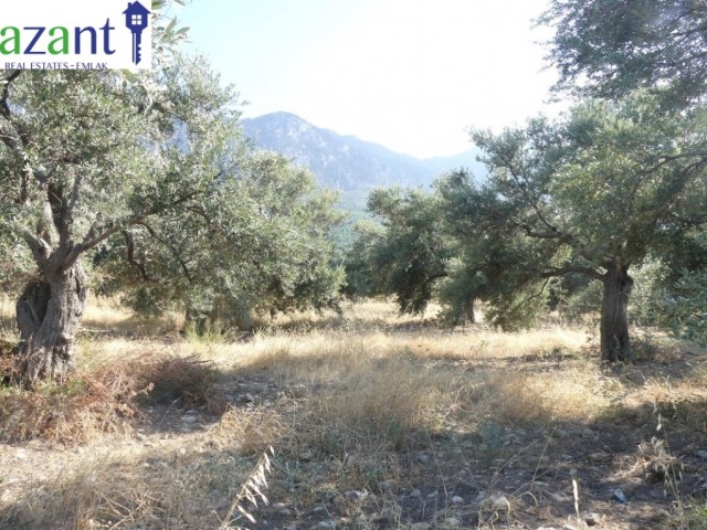 PLOT NEARLY 3 DONUM IN LAPTA WITH SEA AND MOUNTAIN VIEWS