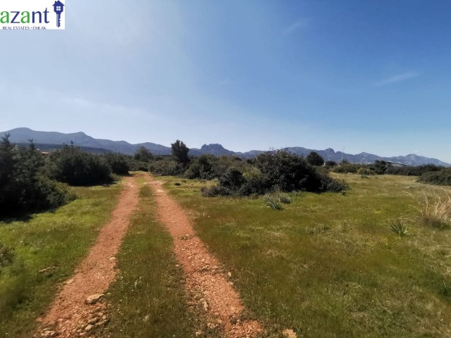 GRUNDSTÜCK MIT MEERBLICK IN KYRENIA ESENTEPE ** 