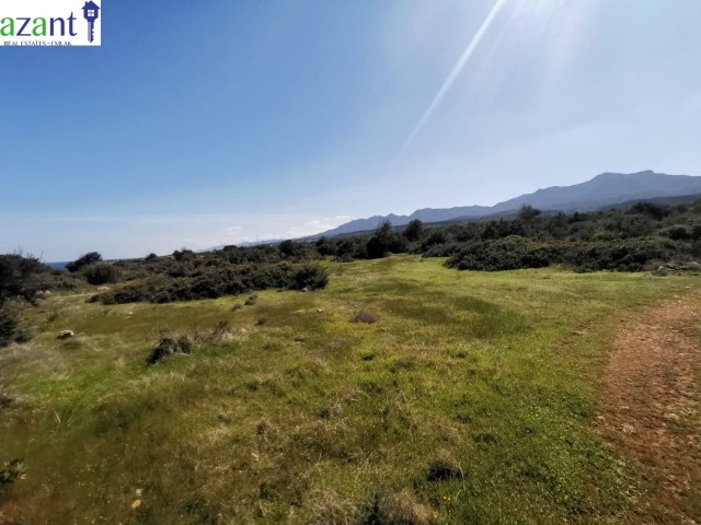 GRUNDSTÜCK MIT MEERBLICK IN KYRENIA ESENTEPE ** 